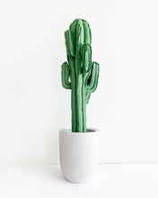 48" Jumbo Saguaro Cactus - Green