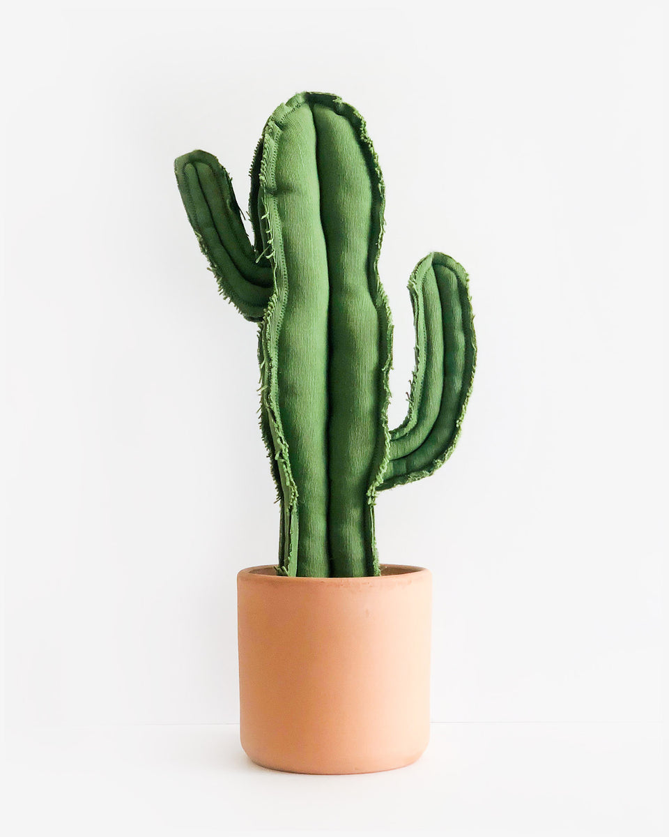Large Wavy Saguaro Cactus - Green – Samak