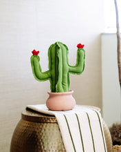 Medium Saguaro Cactus - Green
