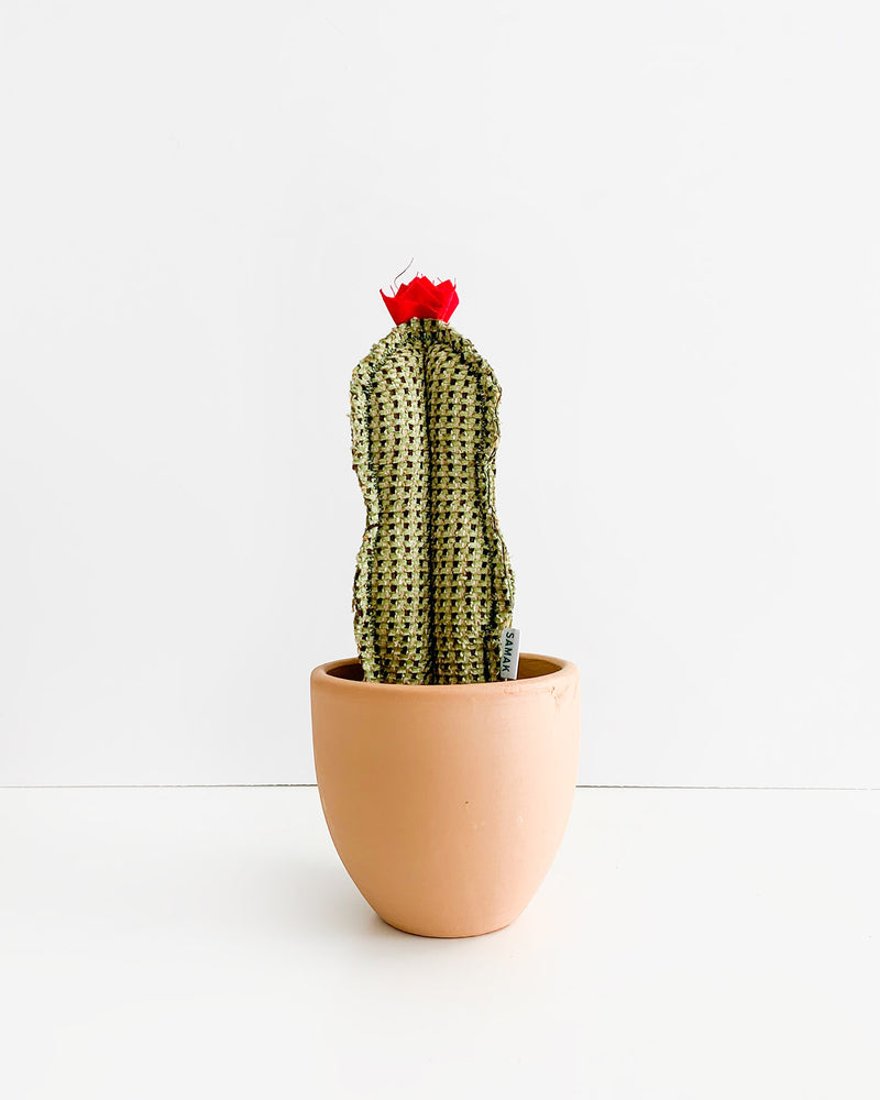 Medium Wavy Column Cactus - Herringbone