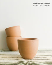 Medium Wavy Column Cactus - Green