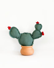 Medium Prickly Pear Cactus - Dragon Scale Teal