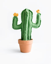 Medium Saguaro Cactus - Green