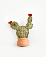 Medium Prickly Pear Cactus - Herringbone Green