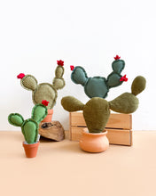 Medium Prickly Pear Cactus - Dragon Scale Teal