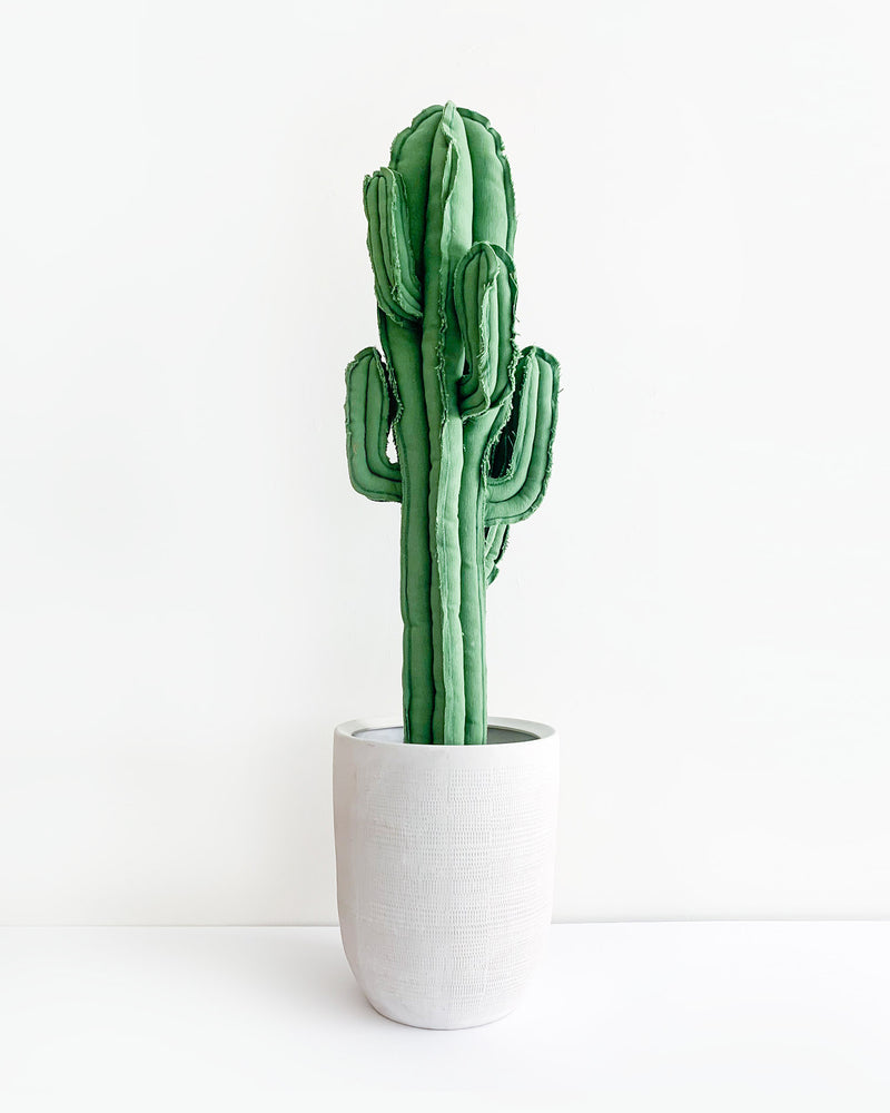 cactus-jumbo-saguaro-