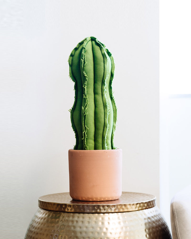 Large Wavy Column Cactus - Green