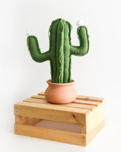 Medium Saguaro Cactus - Green
