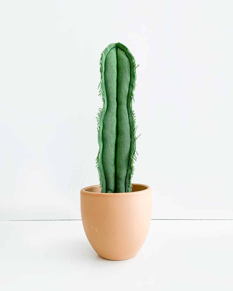 Medium Skinny Wavy Column Cactus - Green