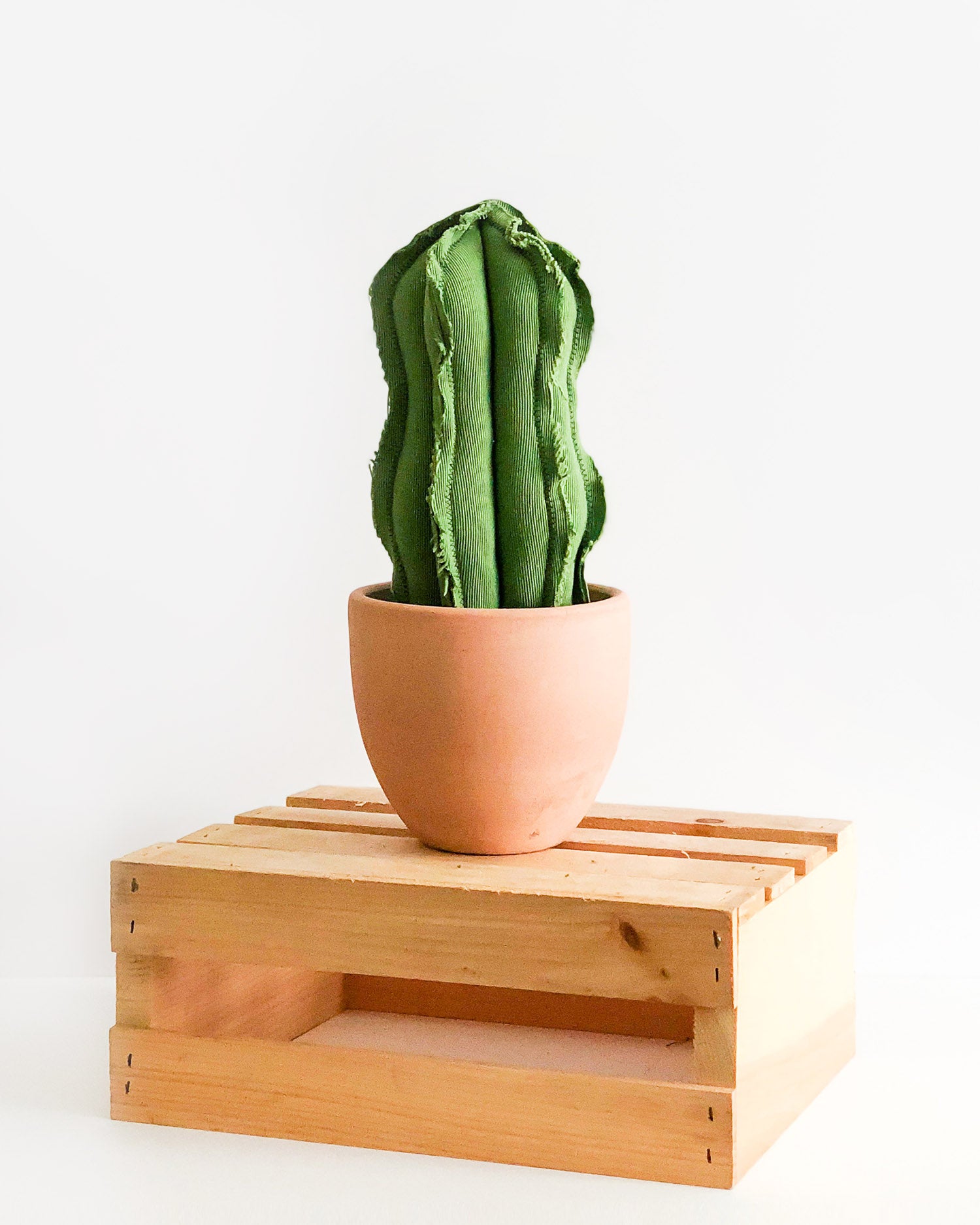 Medium Wavy Column Cactus - Green