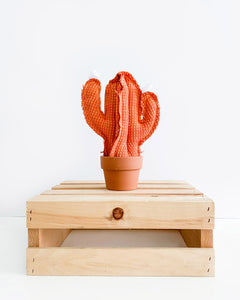 Small Saguaro Cactus - Orange