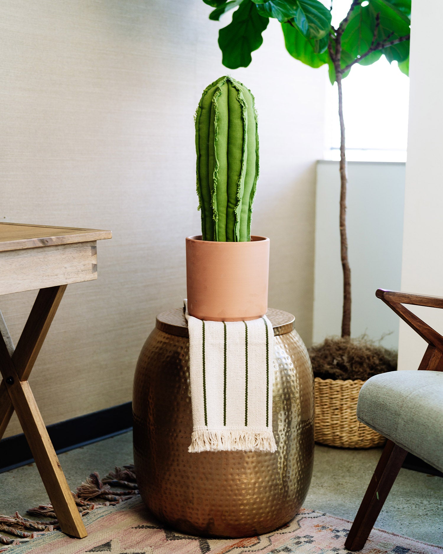 large indoor cactus plants for sale X-large Column Cactus