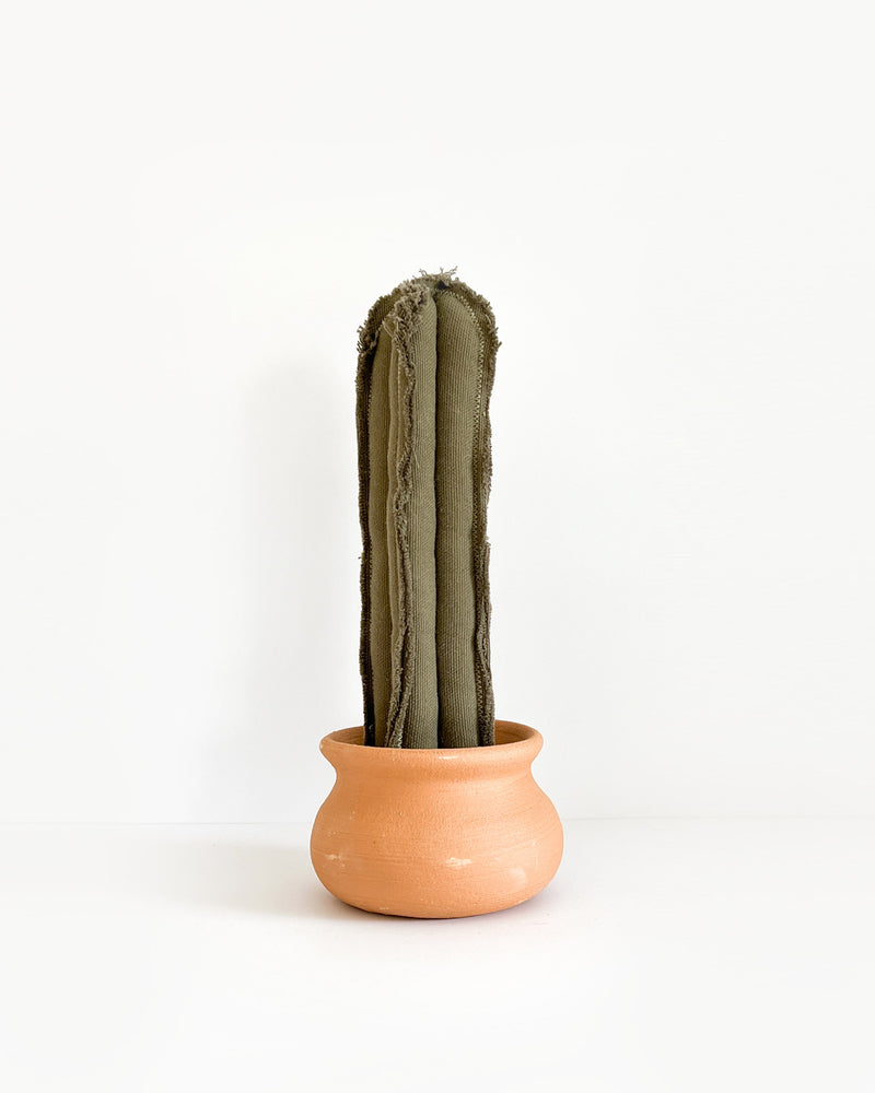Medium Tall Column Cactus - Army Green (Sample)