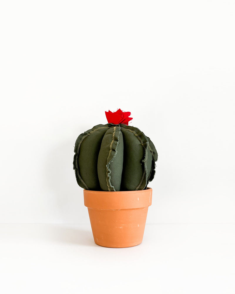 Medium Barrel Cactus - Dark Olive (Sample)