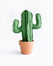 Medium Saguaro Cactus - Green