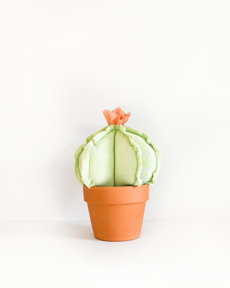 Medium Barrel Cactus - Mint (Sample)