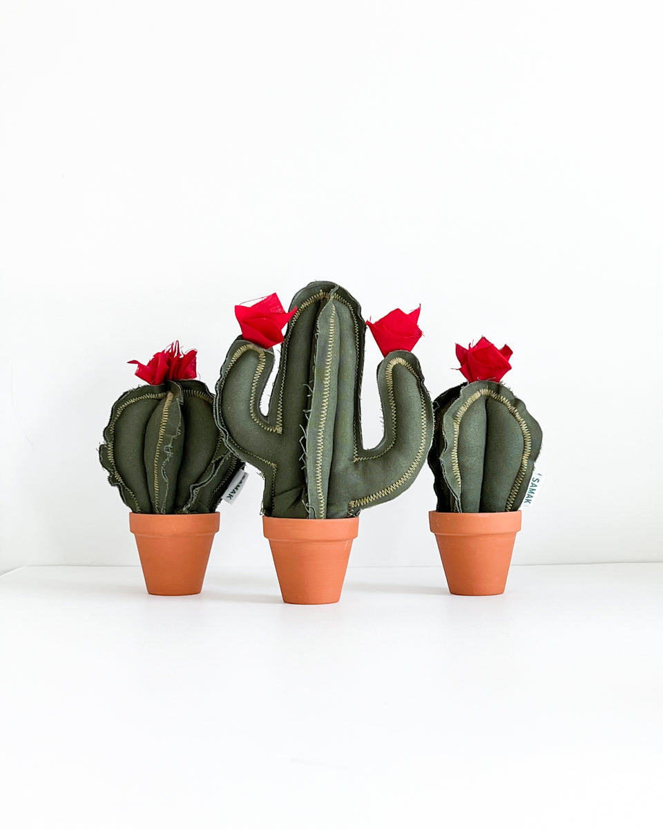 Mini Column Cactus Mini Column Cactus - Dark Olive (Sample) – Samak