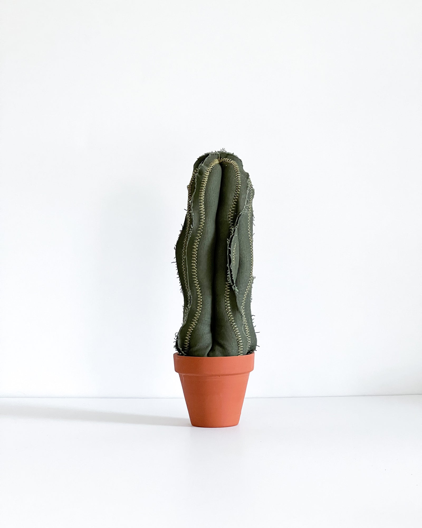 Mini Tall Column Cactus - Dark Olive (Sample)