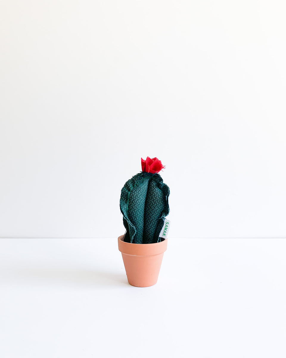 Mini Column Cactus - Dragon Scale Teal (Sample) – Samak