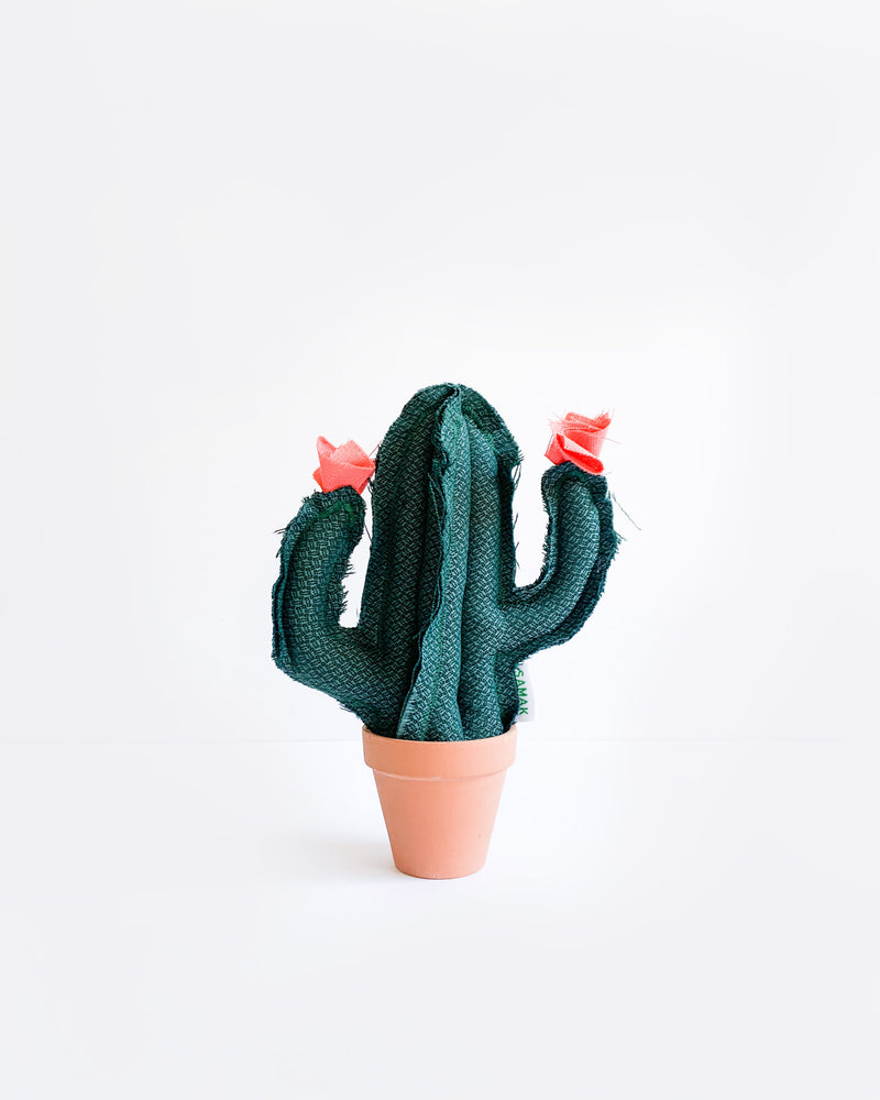 Mini Saguaro Cactus - Dragon Scale Teal (Sample)