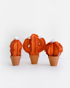 Mini Cacti - Orange Nailshead