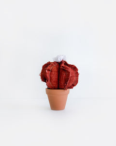 Mini Barrel Cactus - Vintage Red (Sample)