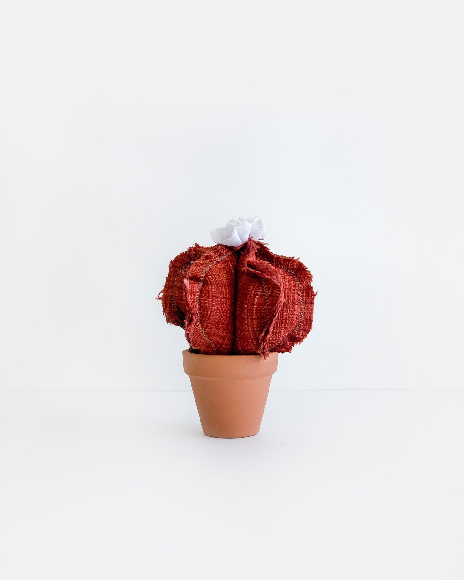 Mini Barrel Cactus - Vintage Red (Sample)