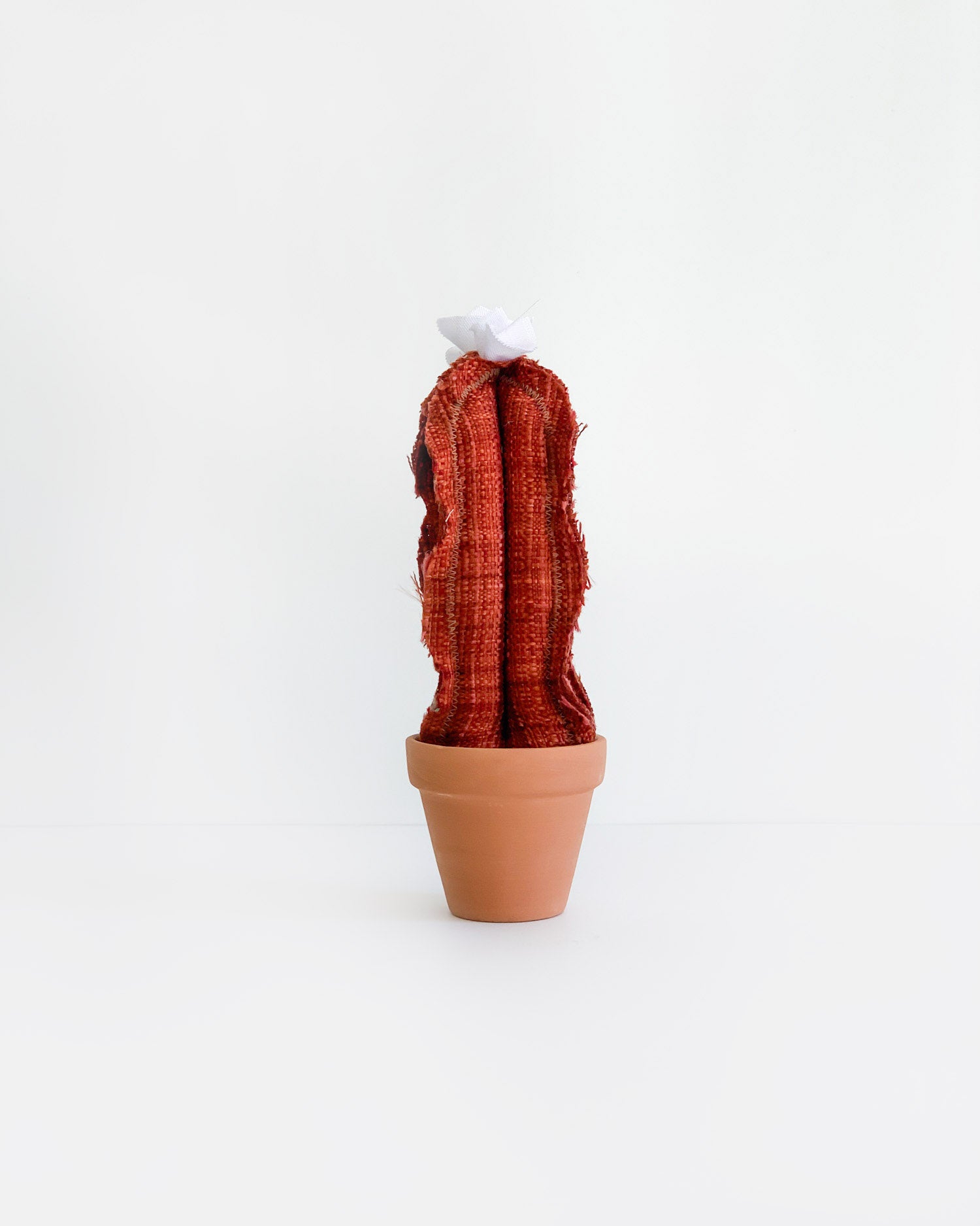 Mini Tall Column Cactus - Vintage Red (Sample)