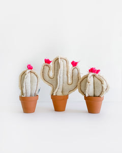 Mini Cacti - White Burlap