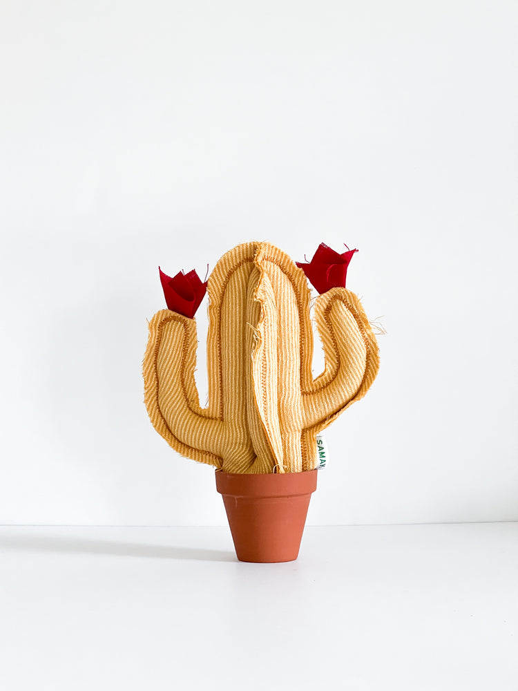 Mini Saguaro Cactus - Yellow Stripes (Sample)