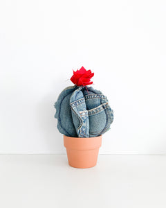 Small Barrel Cactus - Denim (Sample)