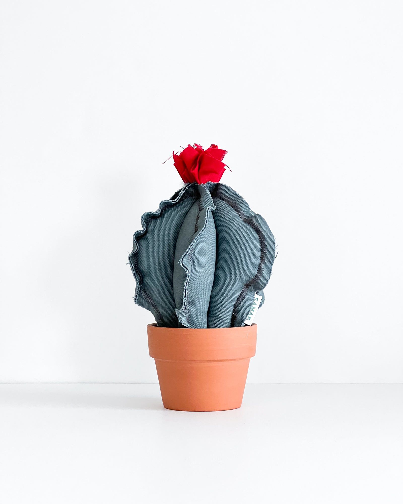 Small Barrel Cactus - Slate Blue Canvas (Sample)