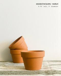 5" Medium Standard Terracotta Pot